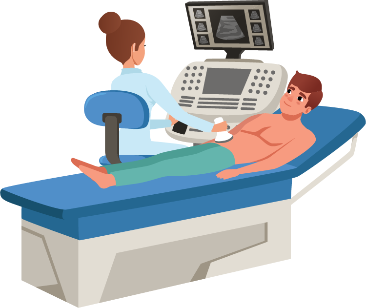 Performing an ultrasound scan