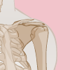 Shoulder Icon